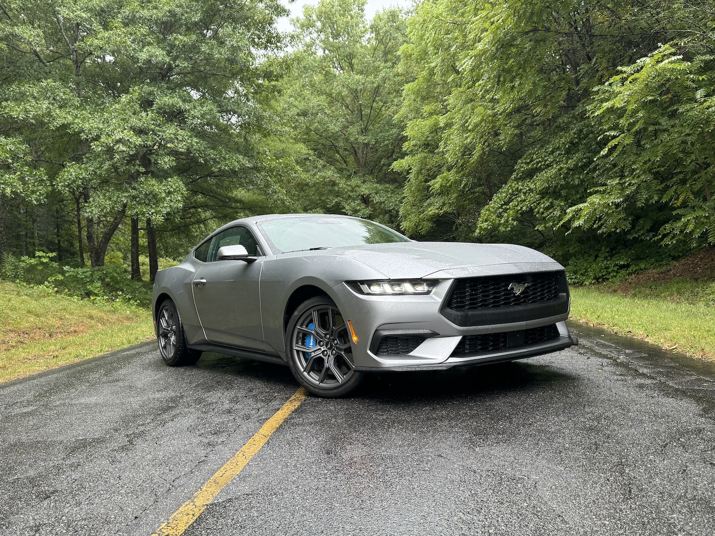 The 2024 Ford Mustang on the road