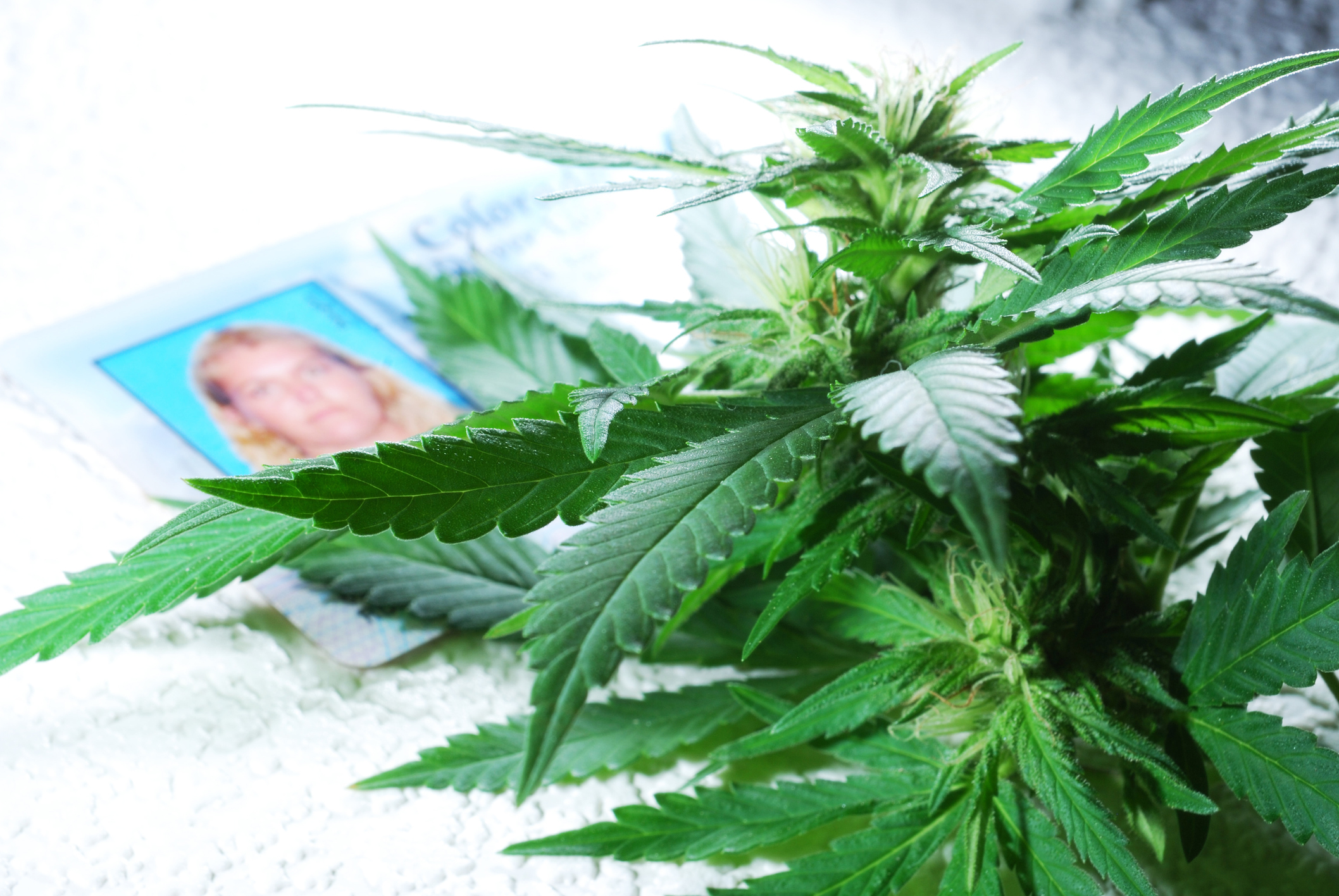 Here’s how cops test drivers for marijuana