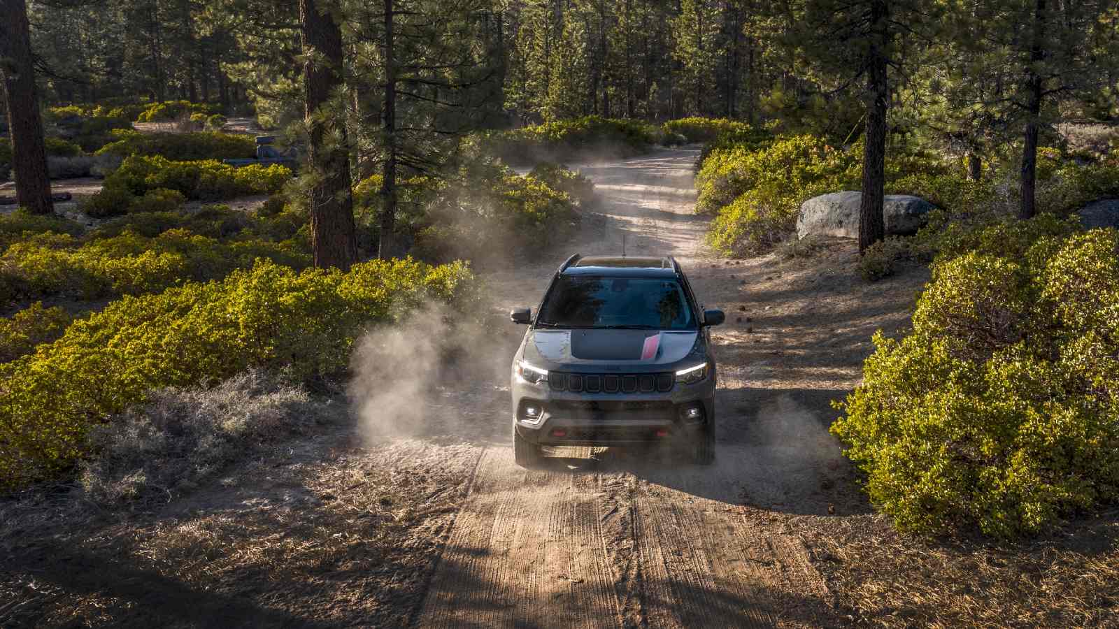 California is working through its car theft problem with a recent change to police enforcement. Several vehicles have been found.