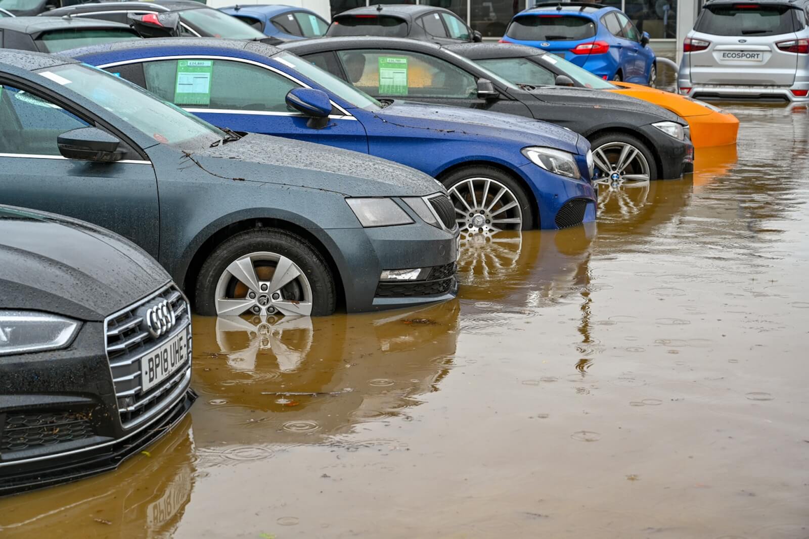 Car buyers beware of flooded cars for sale after Hurricane Helene