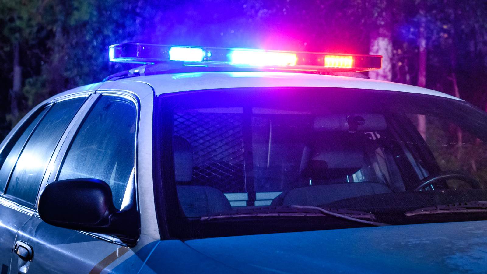 An Alabama man led police on a chase after evading a traffic stop and crashed into a squad car. Now he has multiple charges.