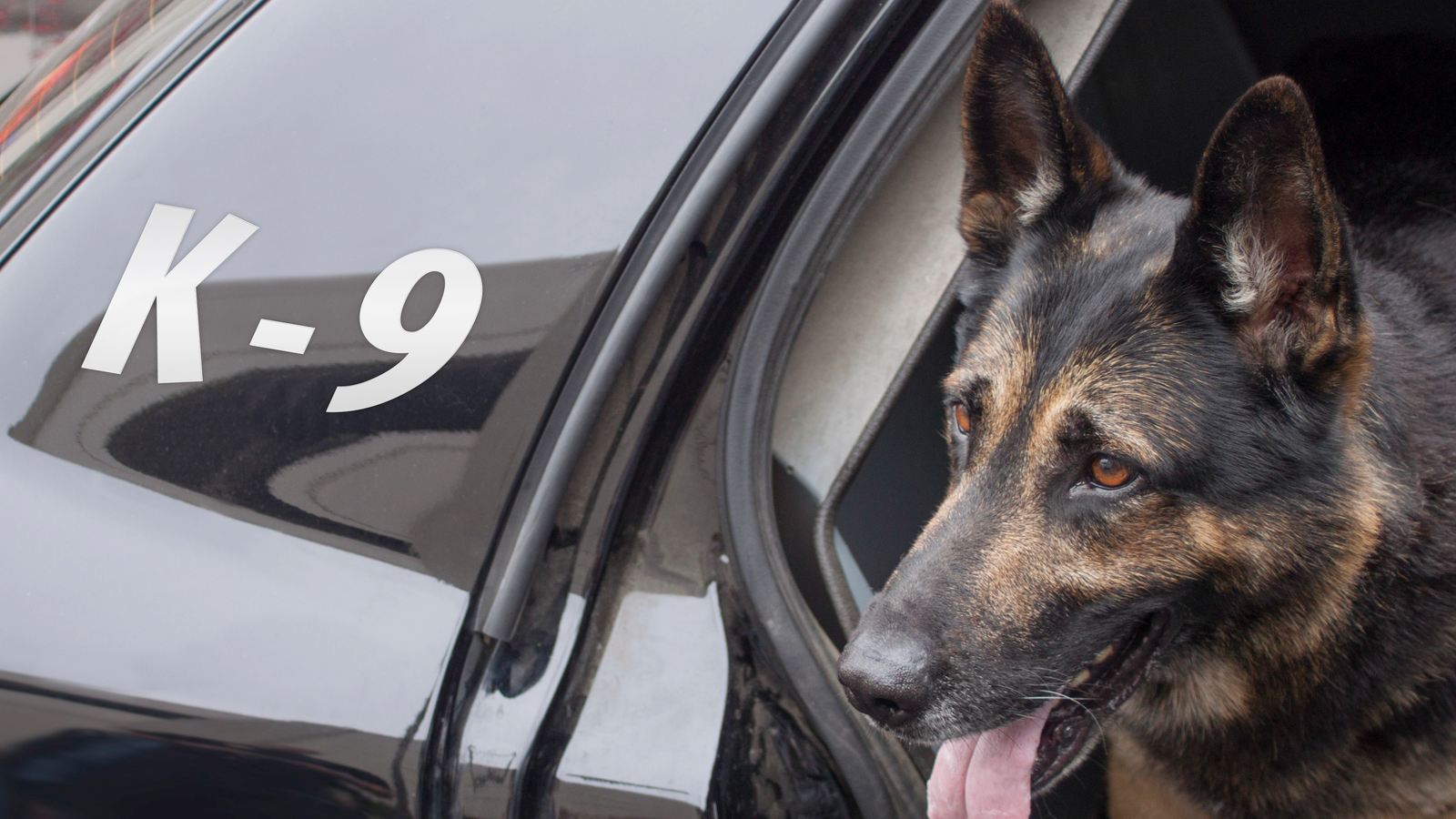 california-man-is-facing-trafficking-charges-after-police-uncover-155