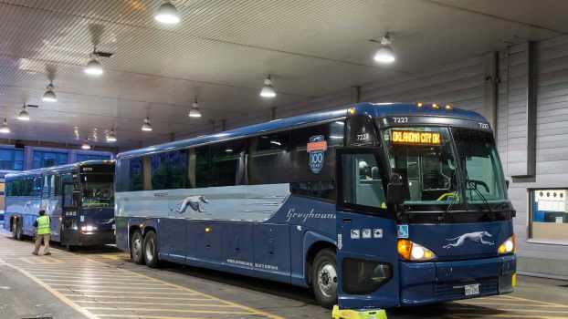 Greyhound bus passenger catches cops sniffing and feeling their luggage