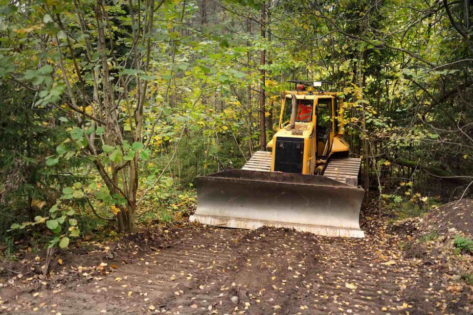 Bright yellow bulldozer blazing a path through the woods.