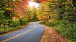 A rural backcountry two-lane road with fall trees on either side