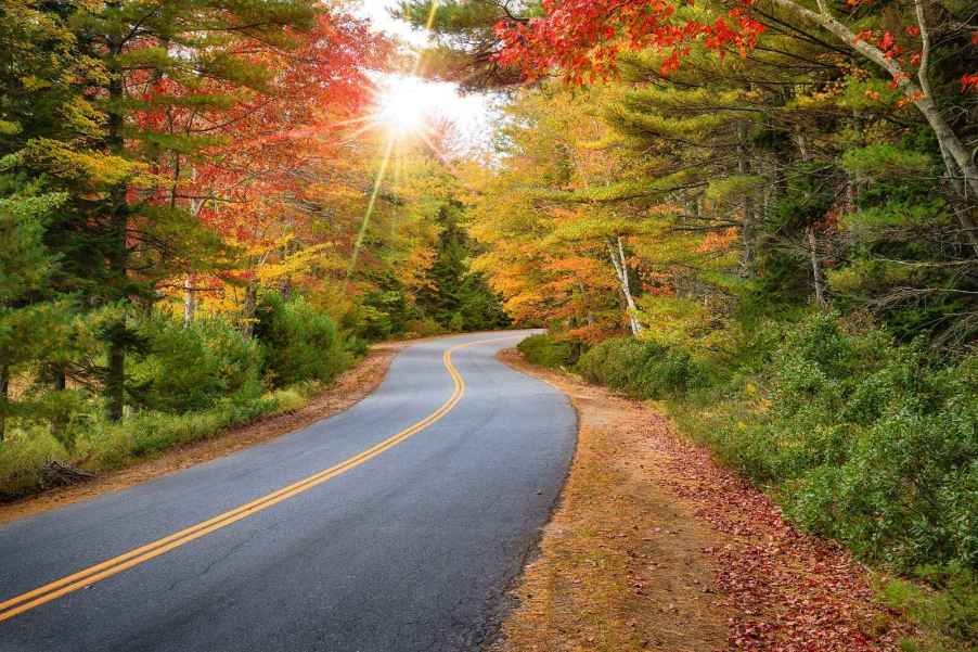 A rural backcountry two-lane road with fall trees on either side