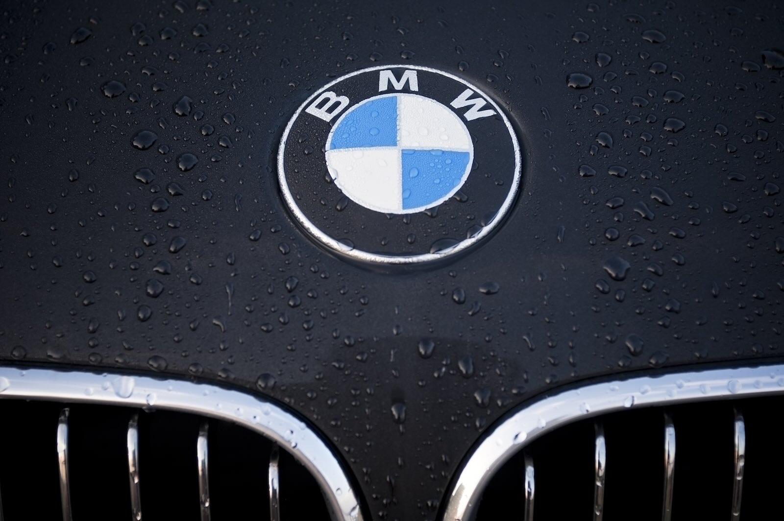 Blue and white BMW logo on a black car, with its grille visible.