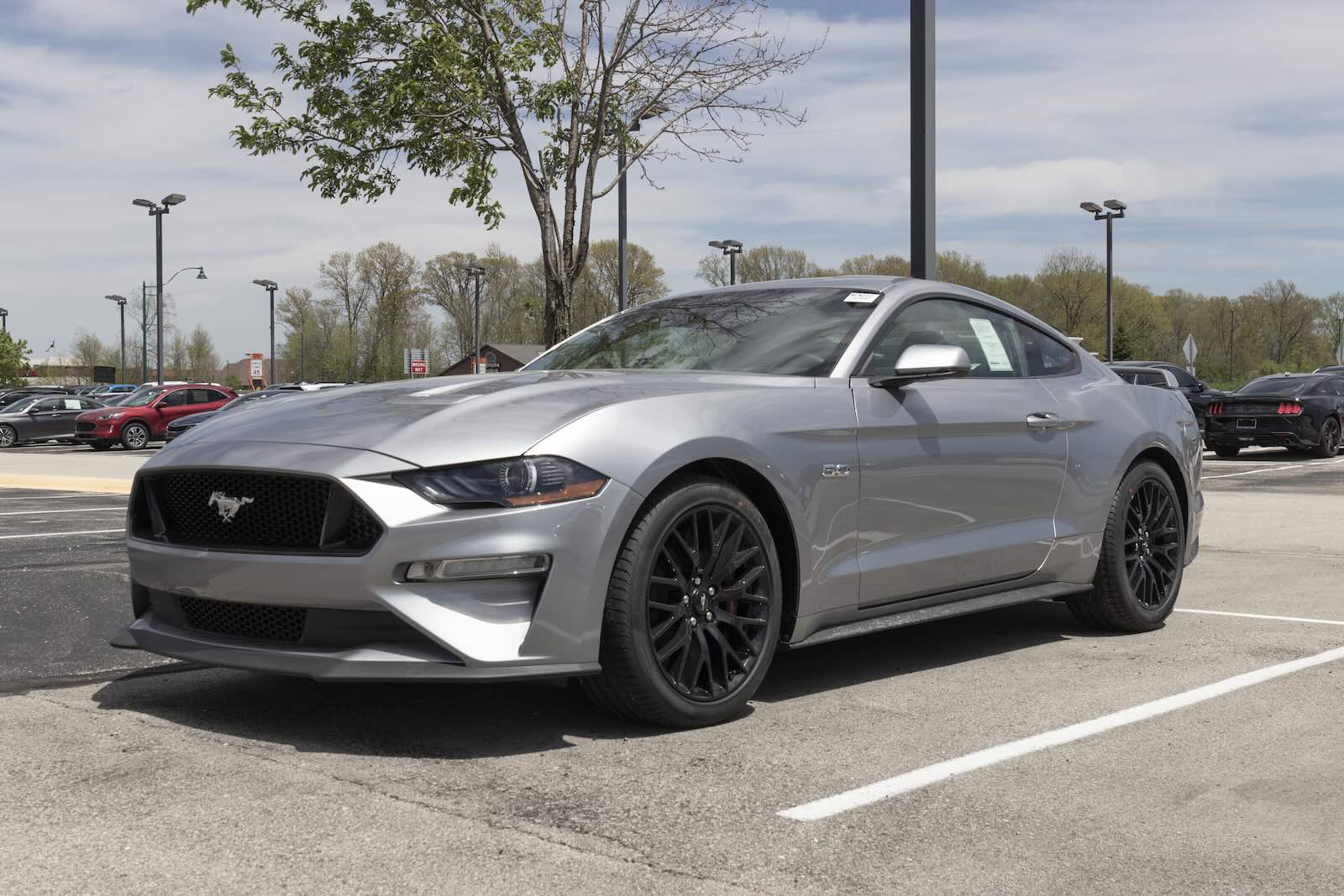 Silver Ford Mustang GT V8 muscle car