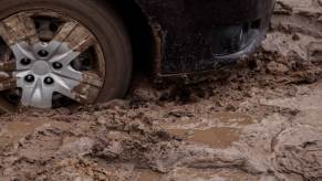 Tires of a pickup truck in a muddy manure pit