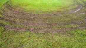 Brown muddy tire tracks doing donuts in a green grassy highway median.
