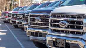 New Ford F-150 trucks lined up at a dealership