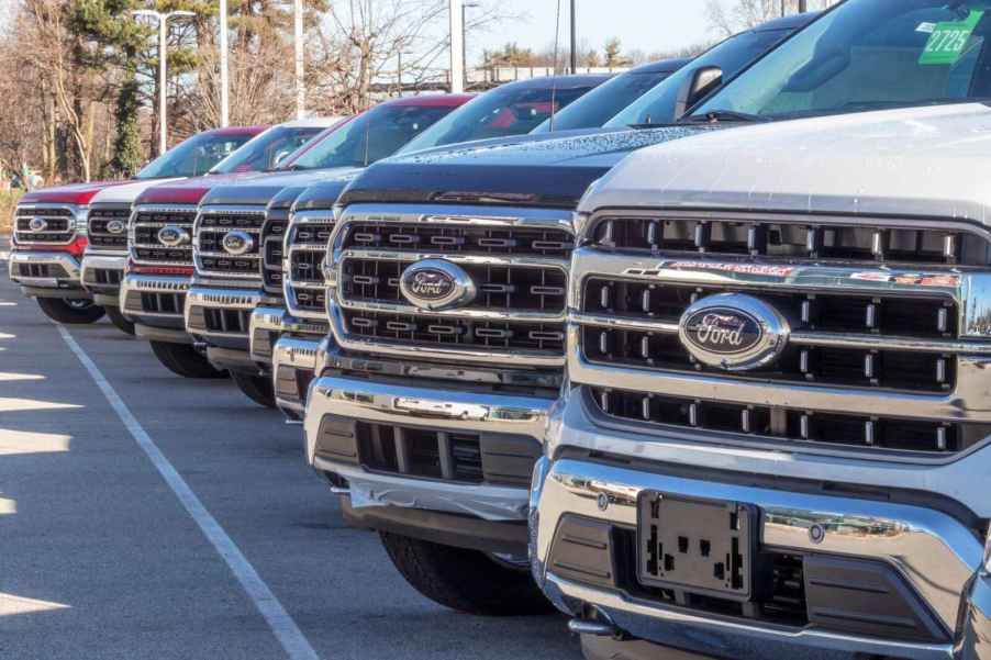 New Ford F-150 trucks lined up at a dealership
