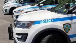 Police cars lined up in a parking lot