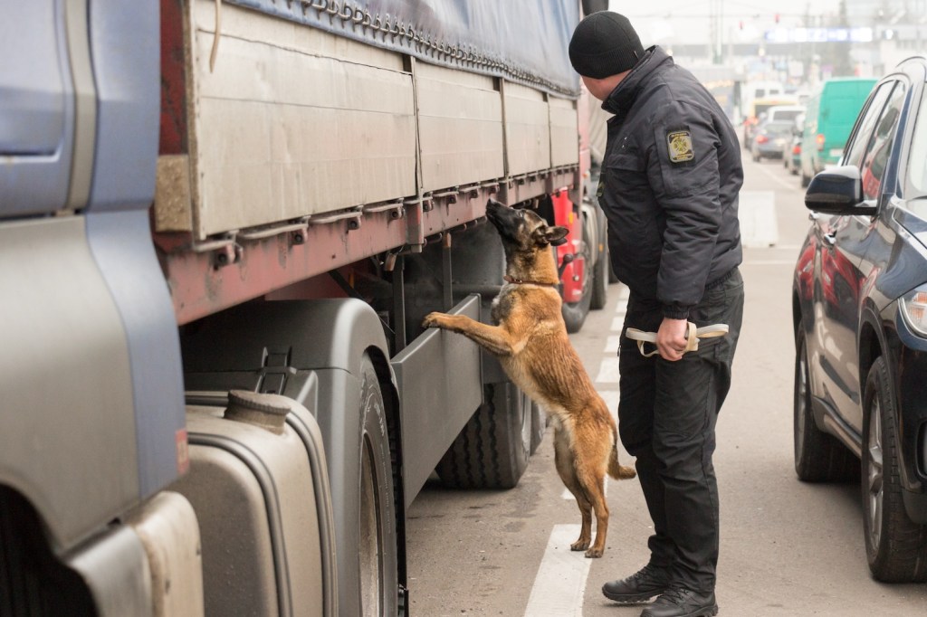A dog sniffing a truck