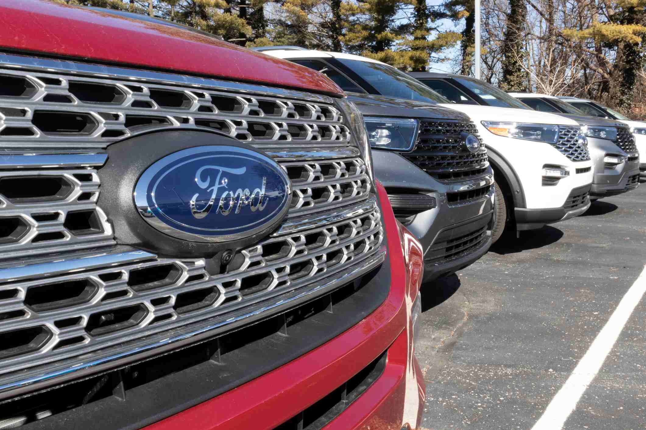 Ford SUVs lined up at a dealership for sale