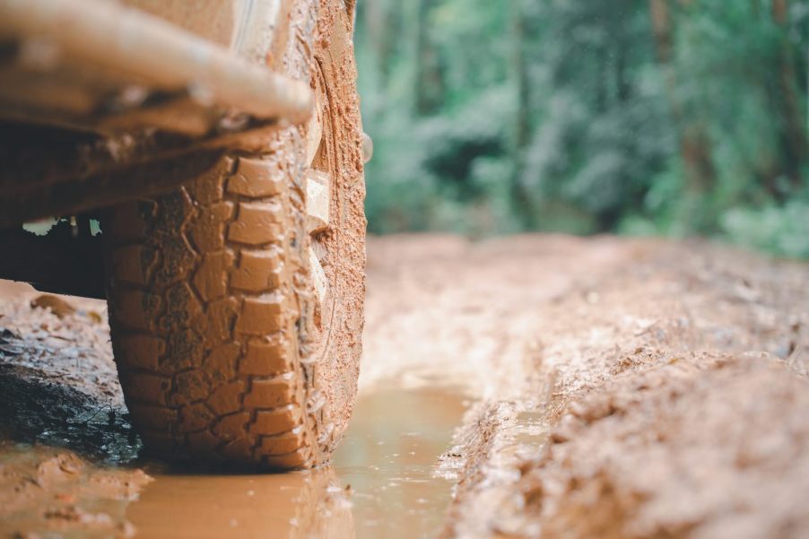 Muddy pickup truck in the woods during a Louisiana trail ride