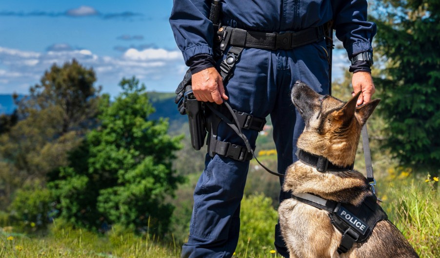 Police officer with dog