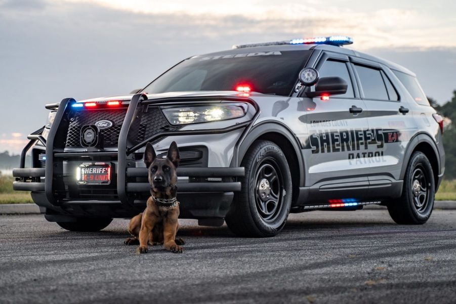 A Ford Explorer Police Interceptor with a German Shepard