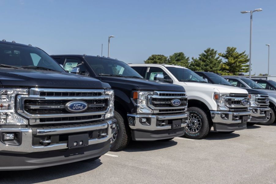 Ford trucks lined up at a dealership
