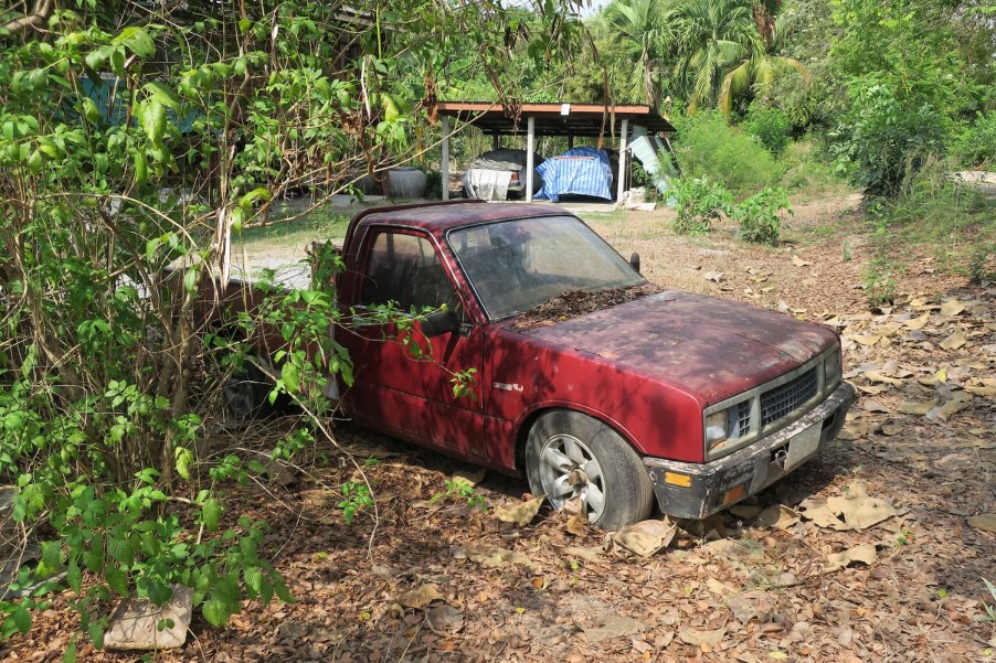 Abandoned cars in a field