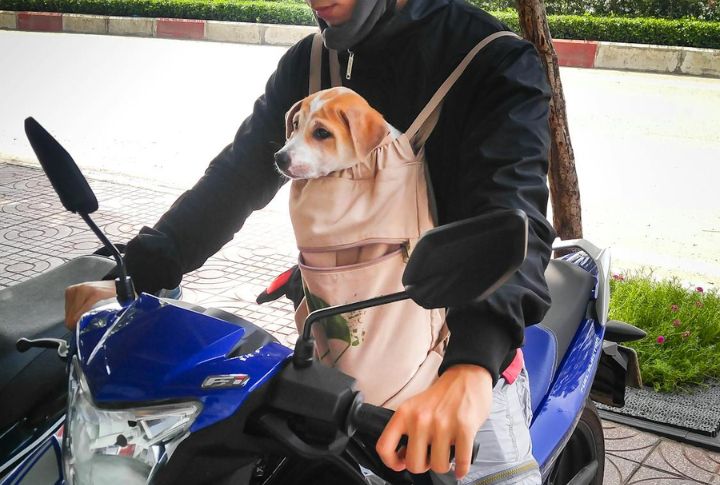 Gorilla Riders Not Welcome In Massachusetts