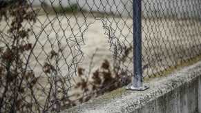 Hole in dealership chain fence from catalytic converter thieves, plants visible in the background.