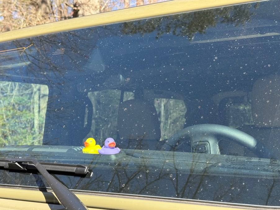Rubber ducks in a Jeep Wrangler