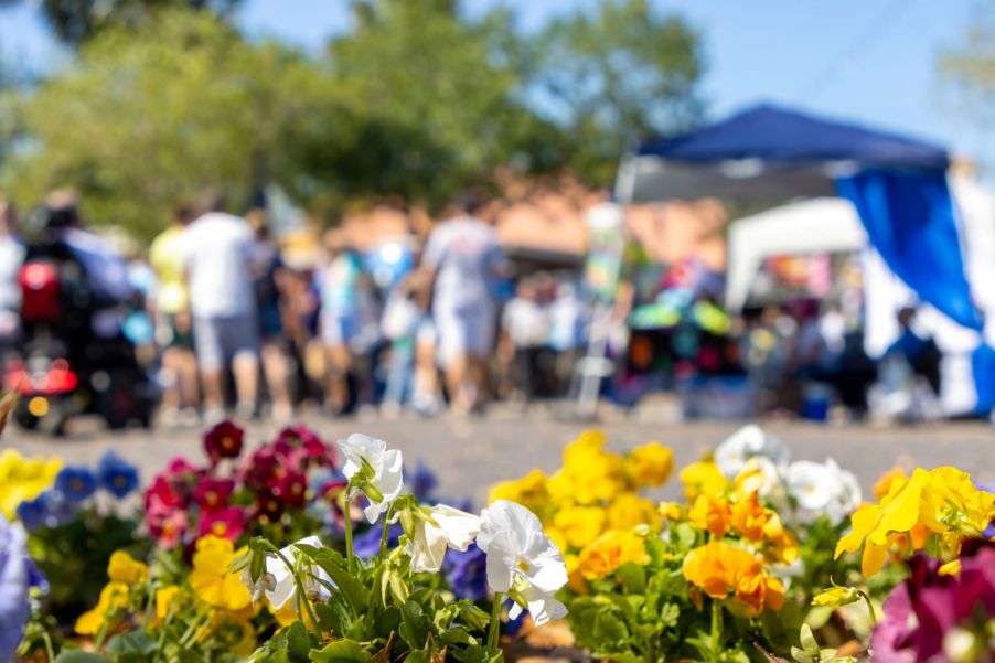 A busy farmer's market