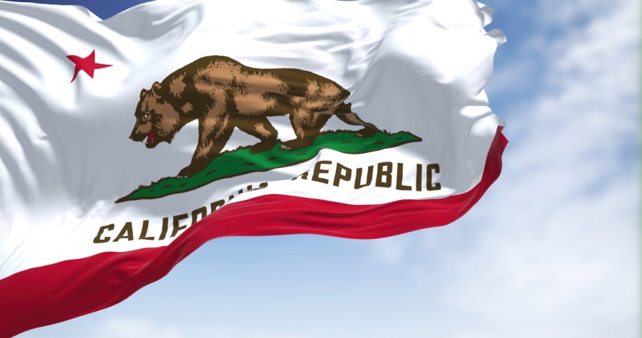 White and red California state flag with a bear waving in front of a blue sky.