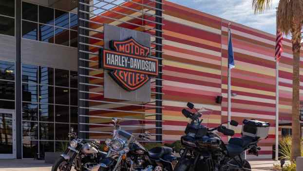 Harley Davidson motorcycles lined up outside a dealership.
