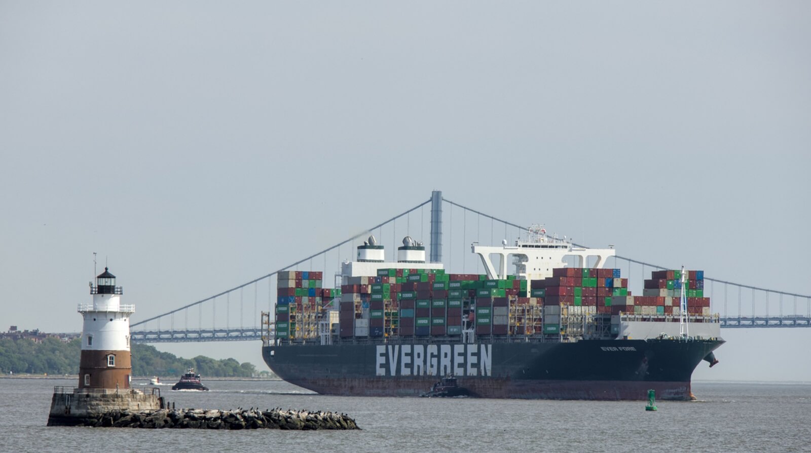 A shipping vessel importing cars made in America from the US to Japan.