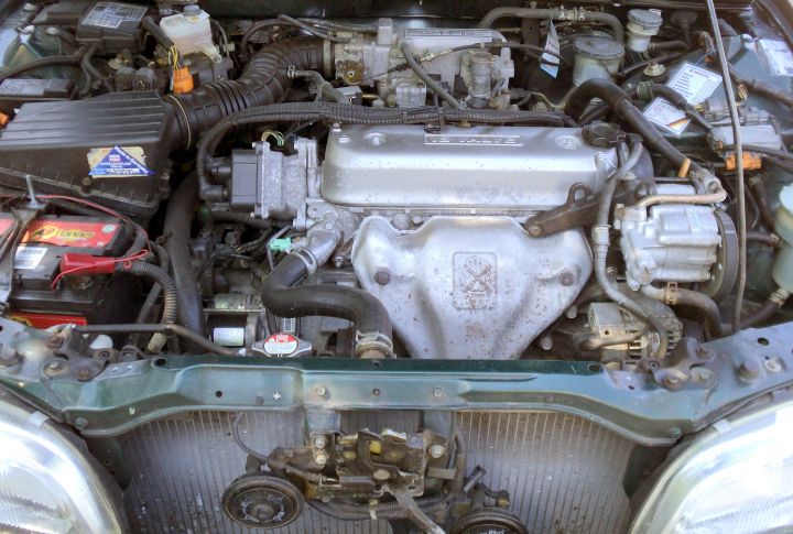 Global Market Adaptability