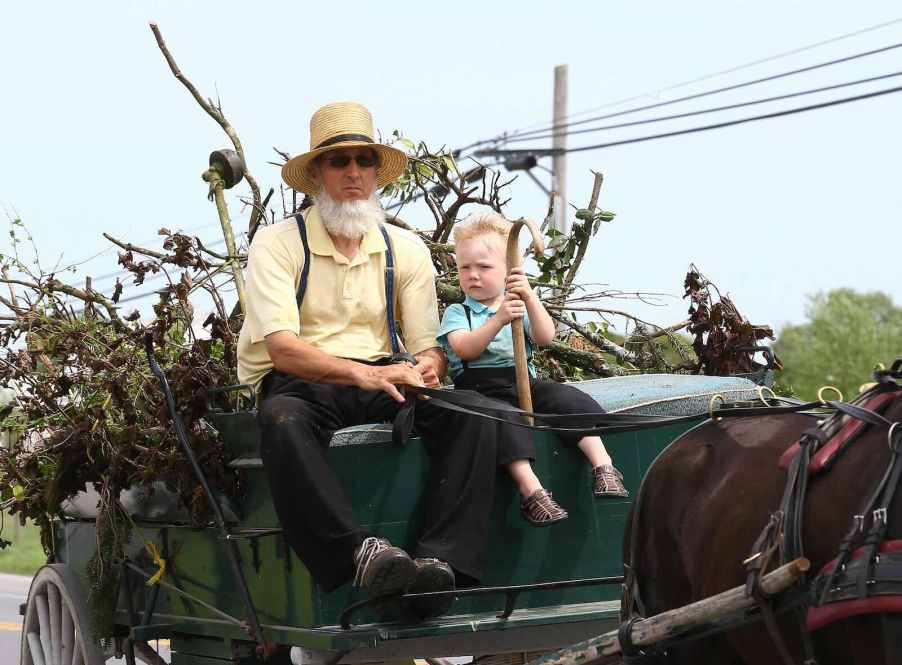 Amish farmer sitting atop a horse buggy on a road, his son on the seat next to him.