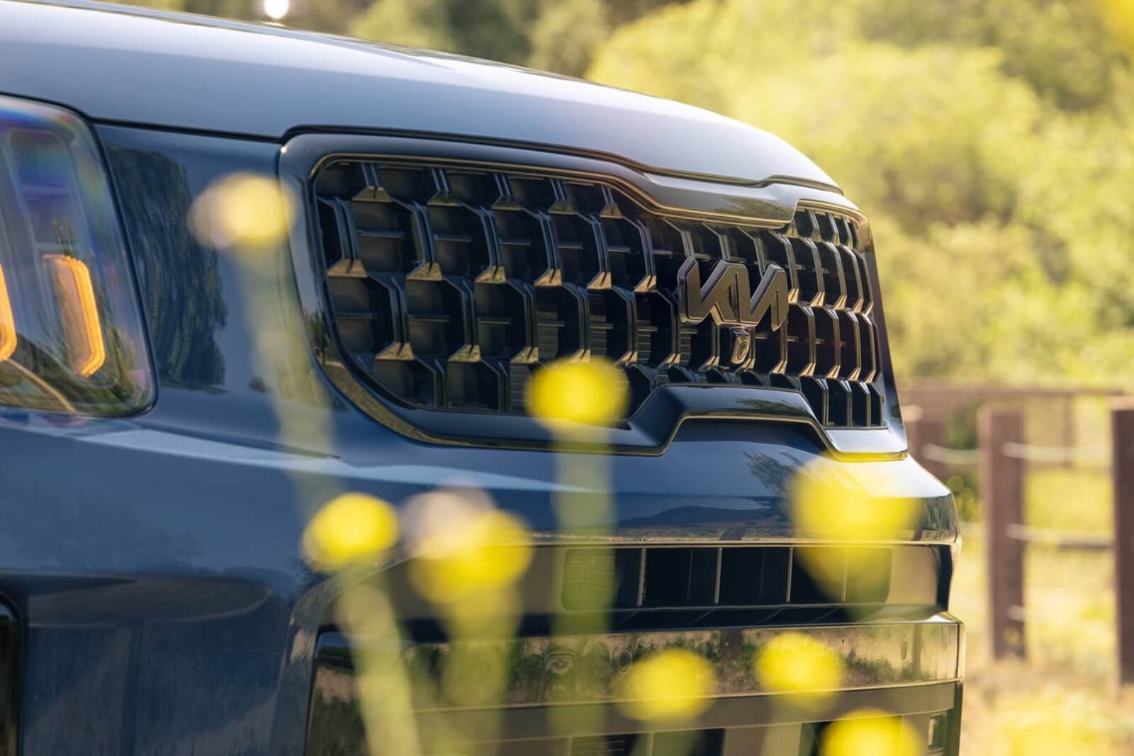 A 2025 Kia Telluride, one of the vehicles the Korean automaker just recalled.