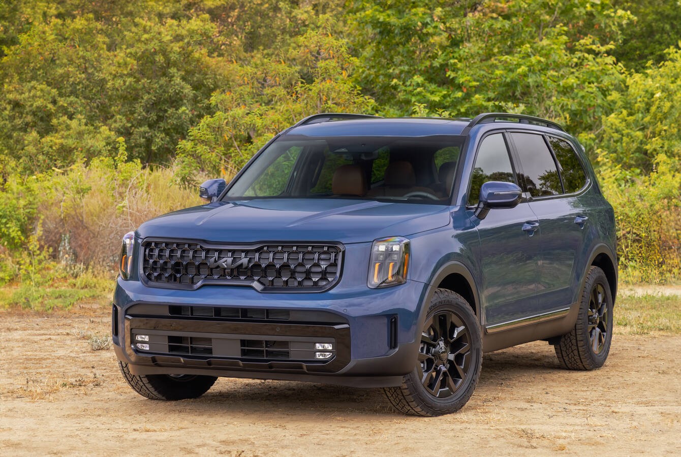 Are Kia Tellurides Easy To Steal