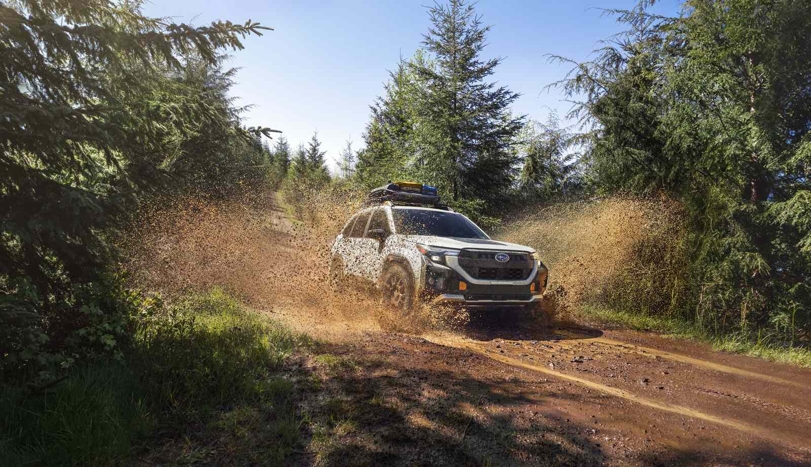 A white 2026 Subaru Forester Wilderness kicking up dirt on a wooded trail