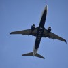 View of the underside of a passenger jumbo jet with Delta painted on it, from the ground.