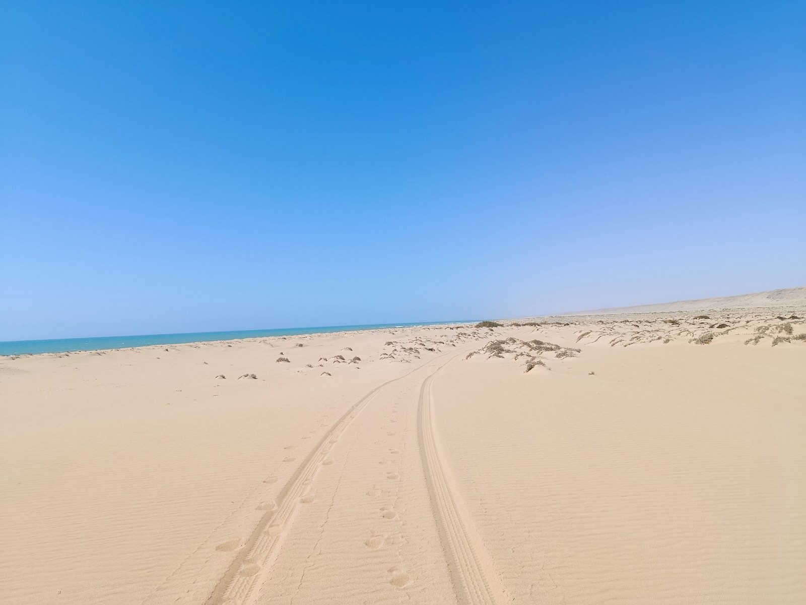 Tracks on beach where an overland camper surf van drove across the sand. Ocean visible in the distance.