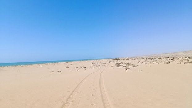 Tracks on beach where an overland camper surf van drove across the sand. Ocean visible in the distance.