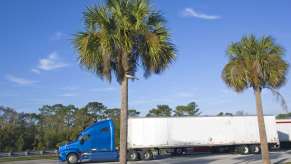 A blue-cabin semi-truck parked under Florida palm trees