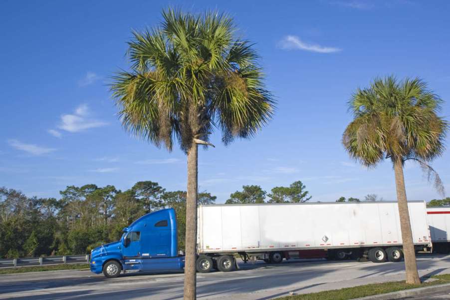 A blue-cabin semi-truck parked under Florida palm trees