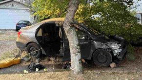 A compact car shown after a DoorDash driver crashed it into a tree and set it on fire in Washington State