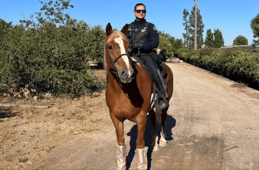 An Upland, California, police officer on horseback