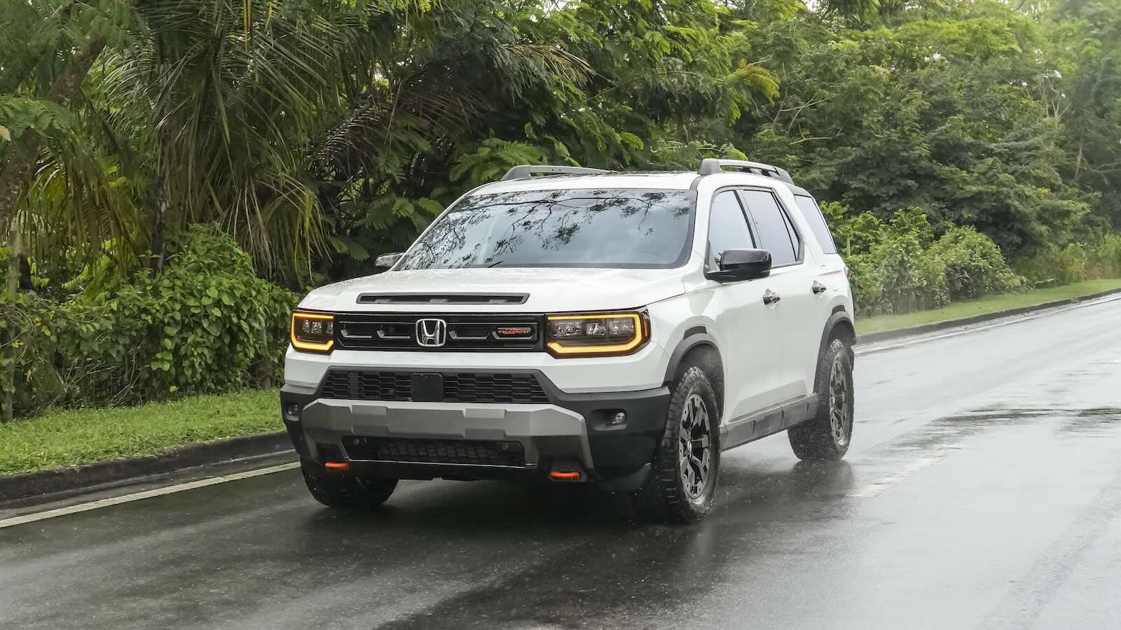 White Honda Passport drives down a paved road, palm trees visible in the background.