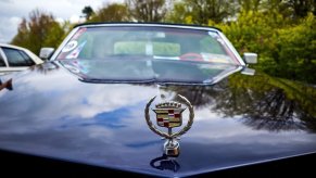 The hood emblem on a classic Cadillac at a car show.