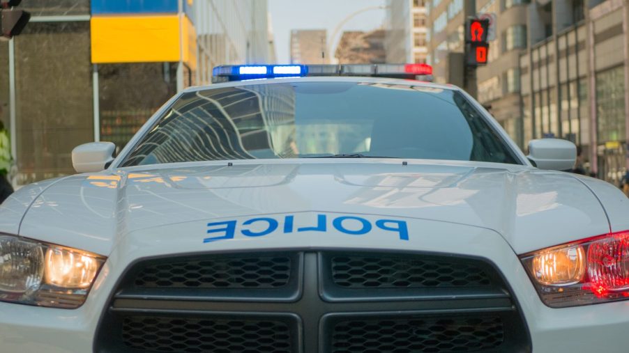 The grille of a white Dodge Charger police car during a traffic stop.