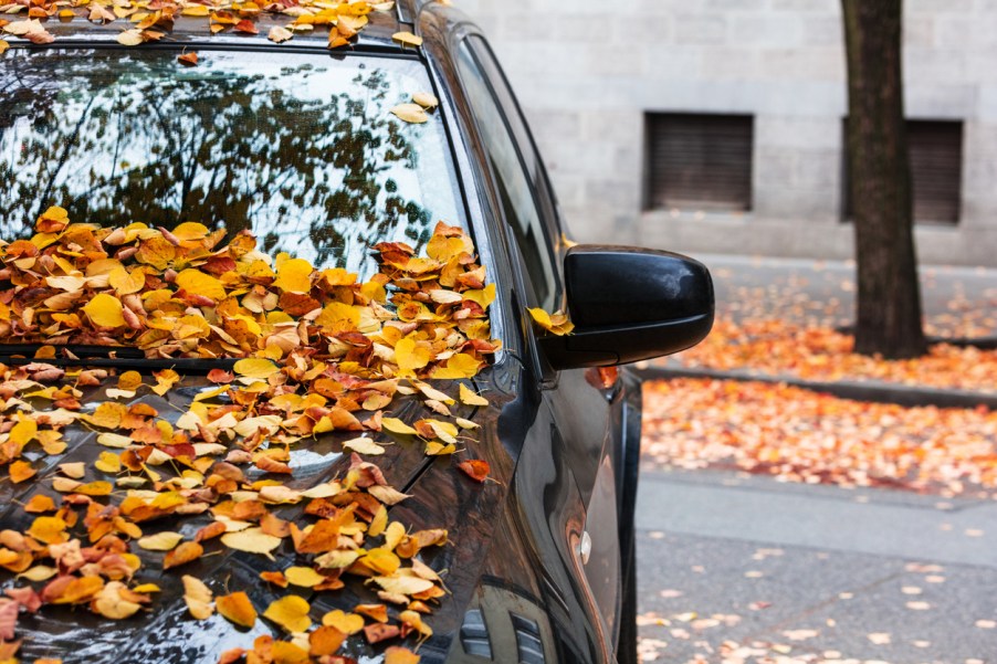 A car in the city, covered in leaves