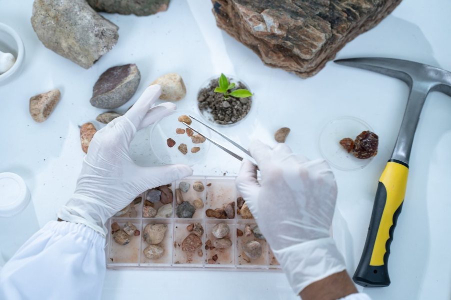 Professor's hands as they sort million-year-old fossils on a table.