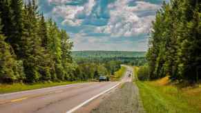 Cars driving along a road, between pine trees.