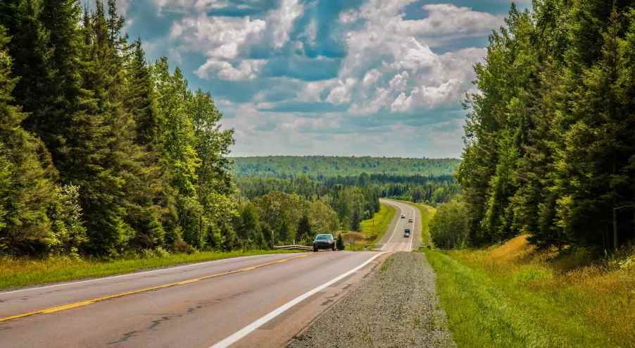 Cars driving along a road, between pine trees.